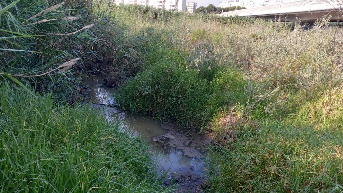 Imagen del vertido el pasado jueves en el río Seco