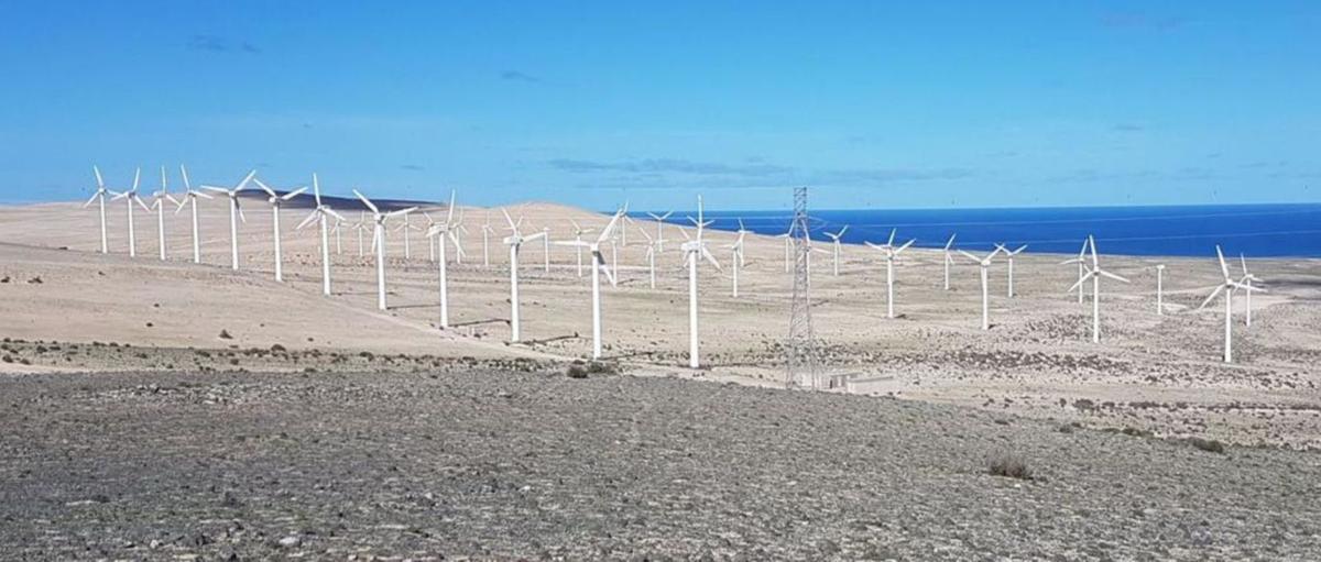 El alisio mueve
a Canarias
hacia un
futuro sostenible