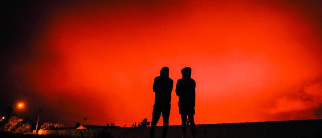 La fauna local se adapta a la nueva isla baja creada por el volcán de La Palma sobre la Playa de Los Guirres