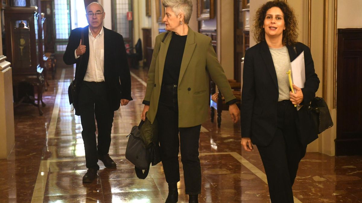 Pleno BNG PSOE