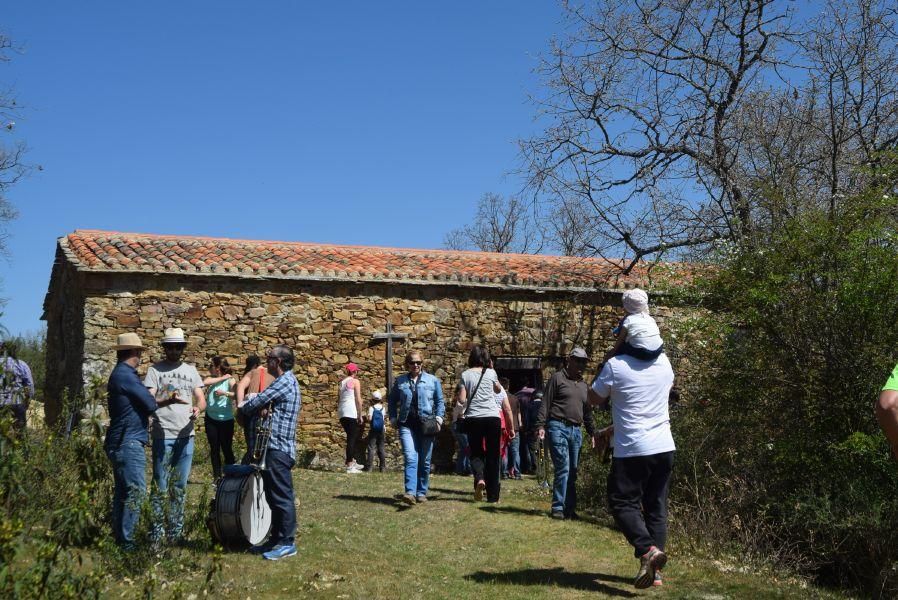 Romería de San Blas y San Mamés en Tábara