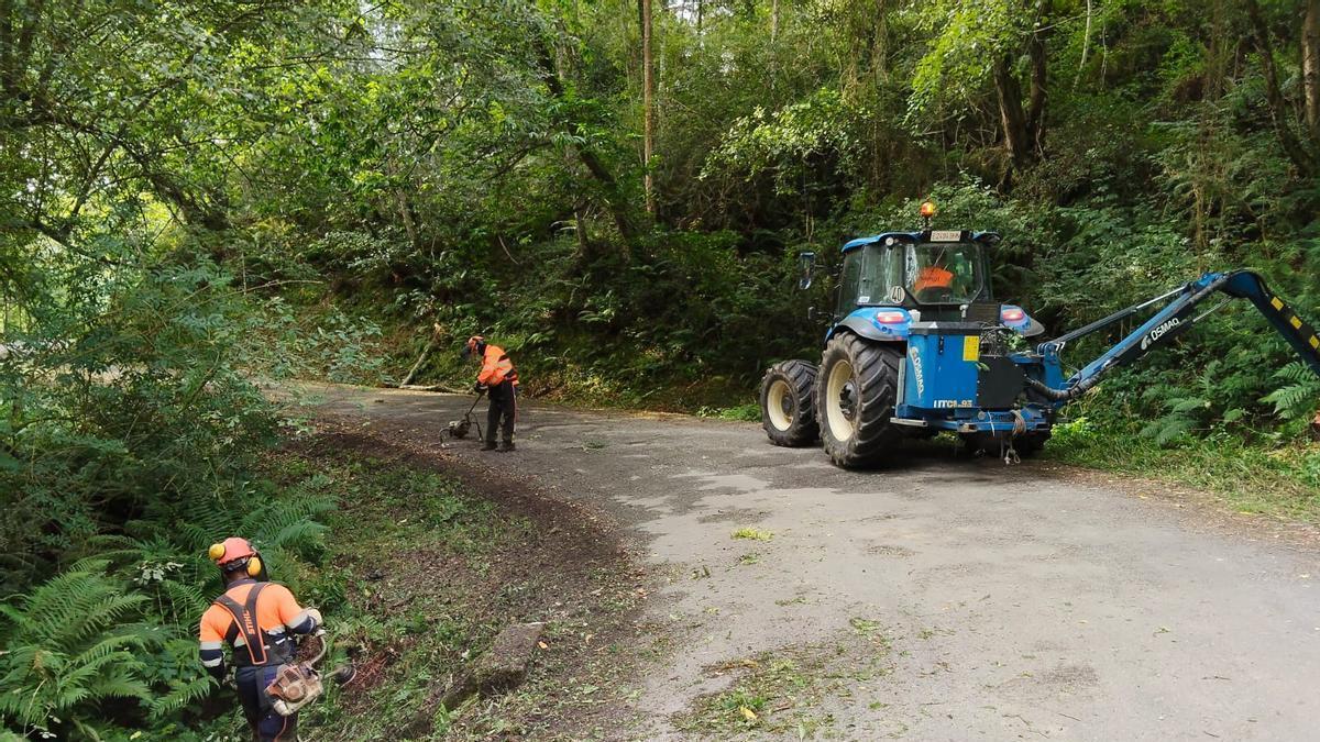 Labores de desbroce en uno de los puntos de actuación