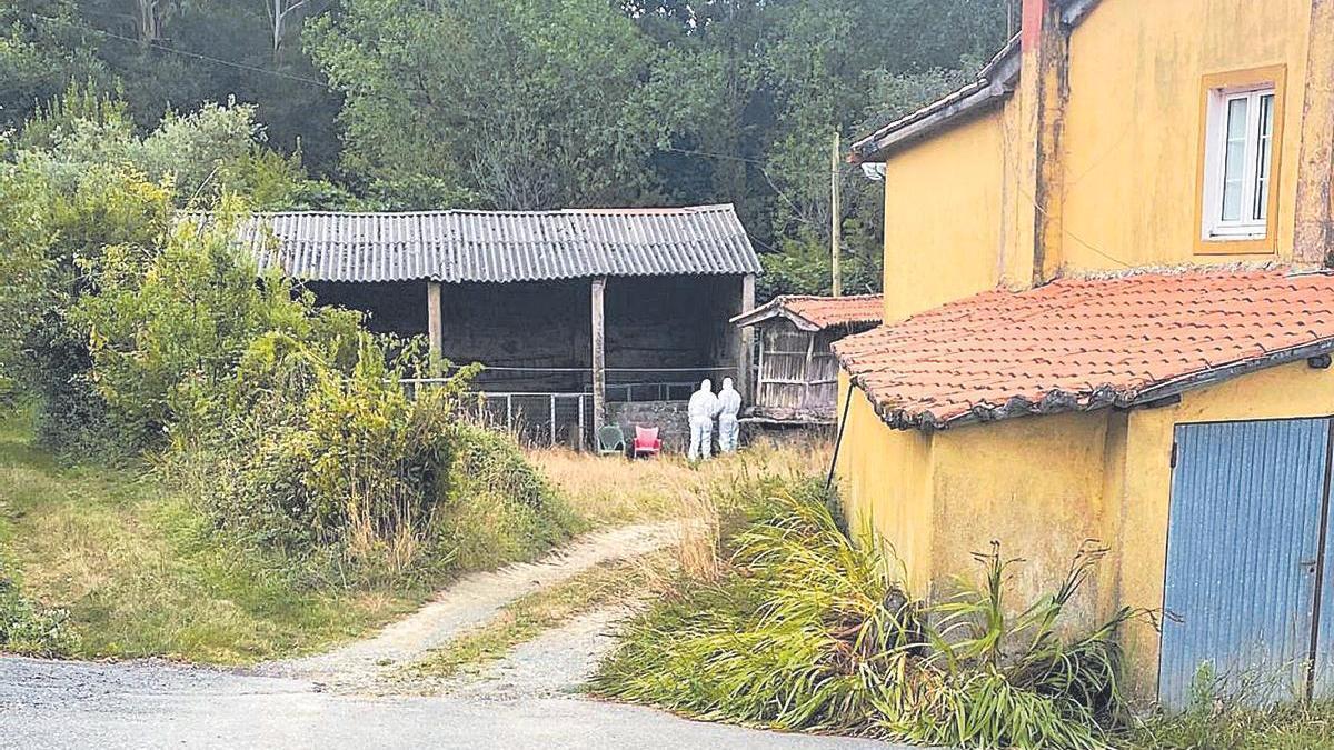 Efectivos del Seprona durante la inspección de la casa en agosto de 2023.