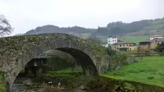 Colores de otoño en el occidente: descubre la esencia del bosque asturiano en la ruta al pico Melena