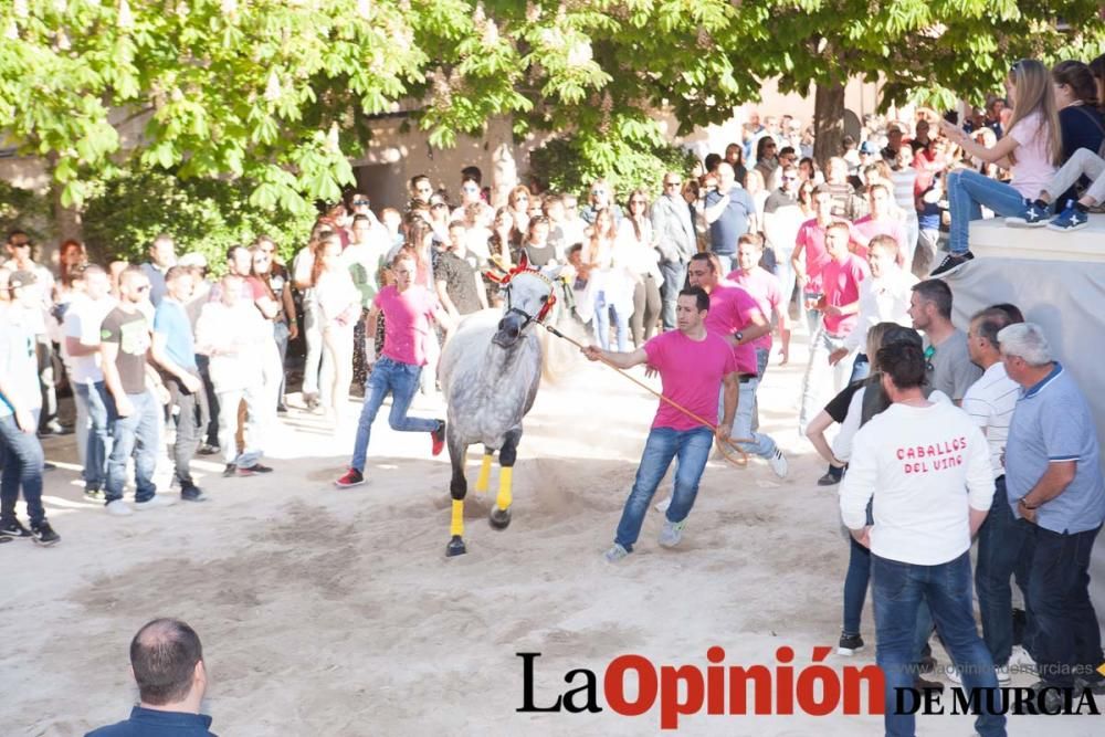 Día uno de mayo, entrada de caballos al Hoyo