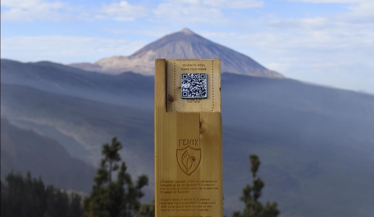 Toten de Fenix Canarias en el mirados de Chipuque, en Tenerife