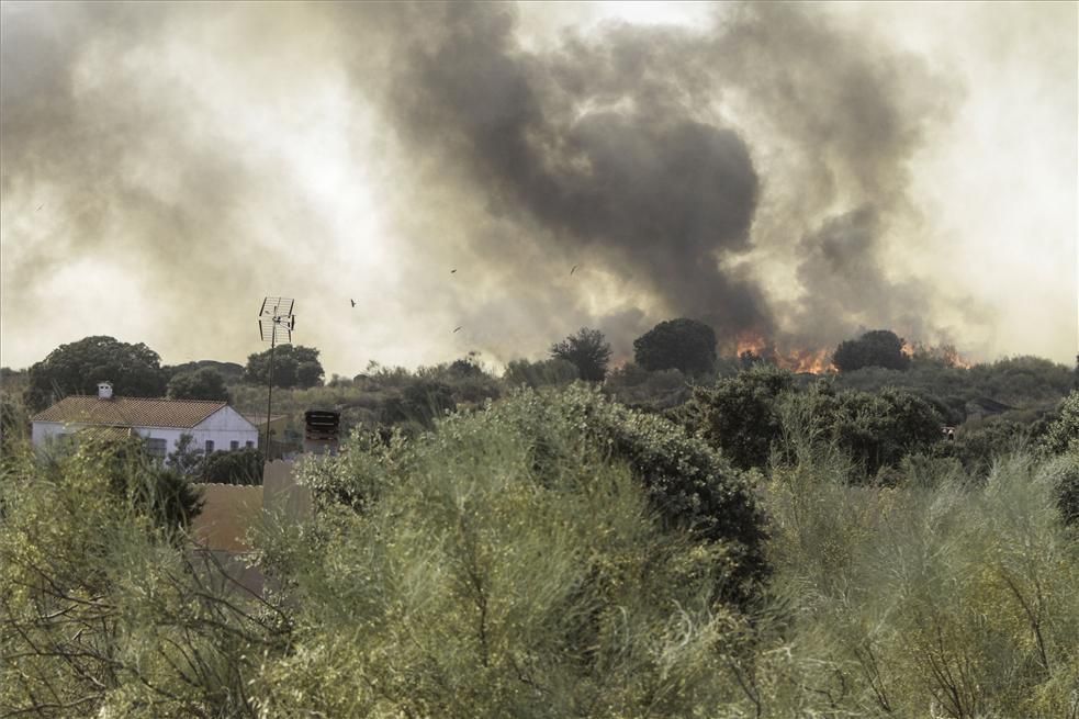 Incendio forestal en Cáceres