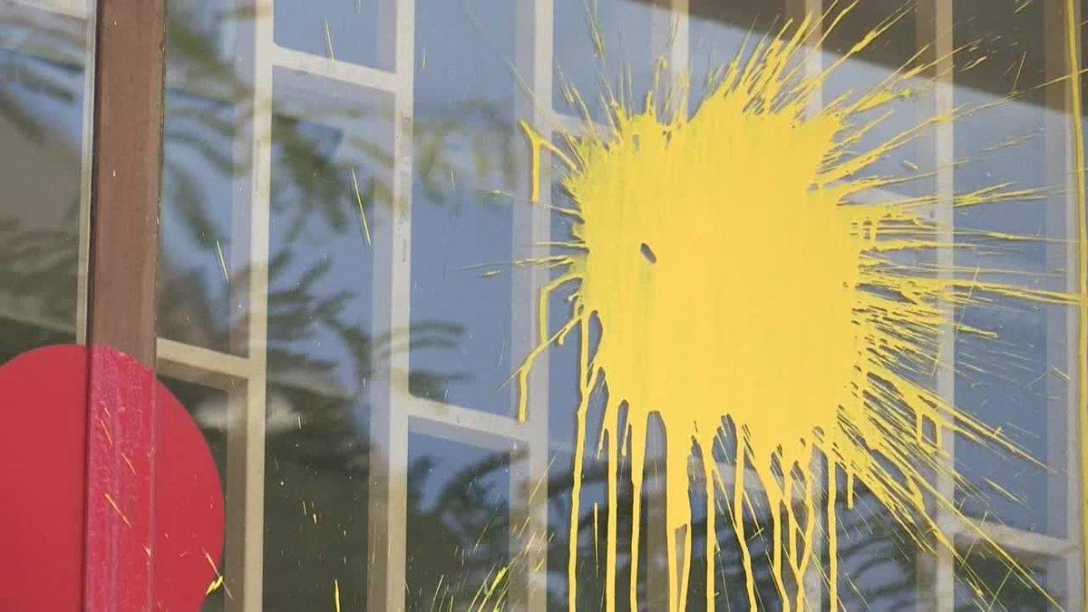 3e91834d-37bd-4b24-84b7-961b58f51d8f-hd-web