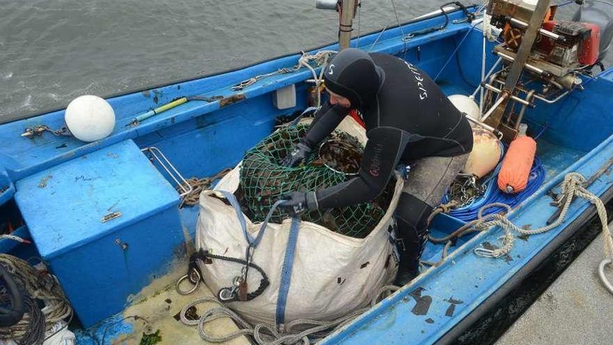 Un buceador prepara un gran saco de algas para que la grúa lo eleve de la planeadora al muelle. // N.Parga