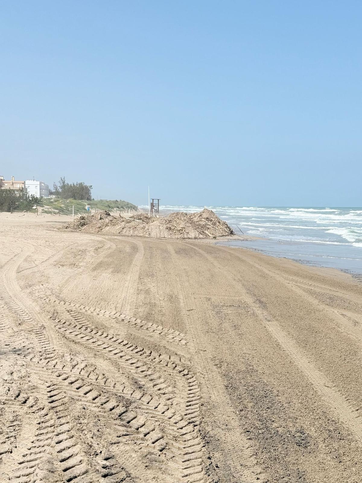 El Ayuntamiento de Cullera ya ha limpiado la playa del Dosser ante la aparición de «Velella velella»