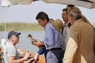 Carlos Mazón asiste a la suelta de aves en la Albufera en el Día Mundial del Medio Ambiente