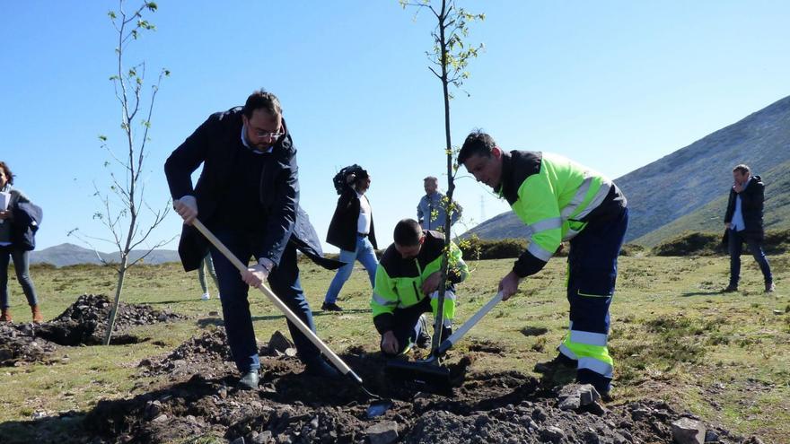 Nuevas ayudas para zonas quemadas tras las últimas oleadas de incendios: estos serán los beneficiados y el dinero