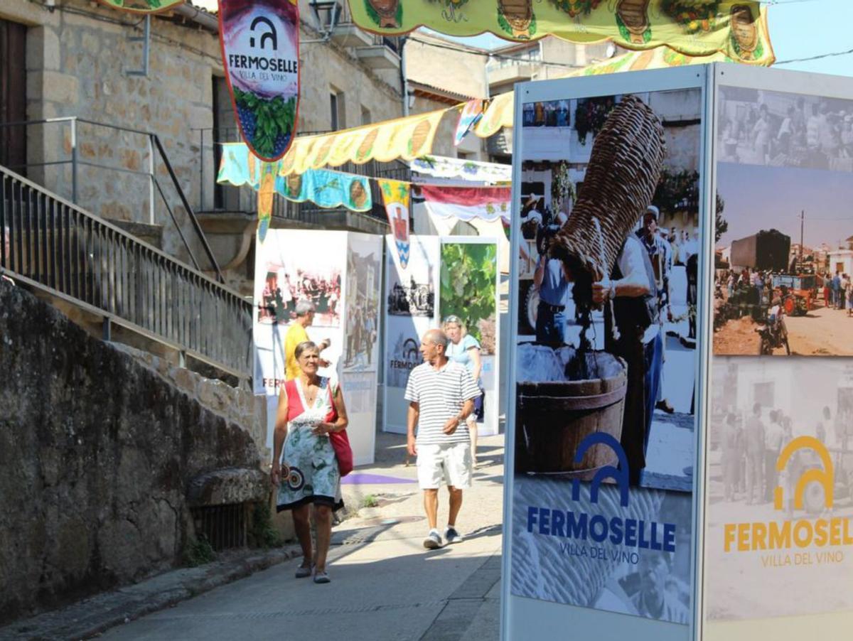 Exposición vendimia y bodegas. | Cedida
