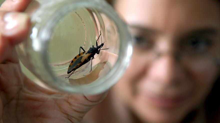 La UMH colabora en un estudio sobre la enfermedad de Chagas en la Amazonía de Perú