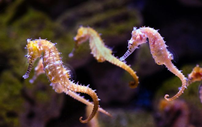62c80aa5-e1d8-4005-b4cc-73f68ae77499_media-libre-aspect-ratio_default_0.jpg