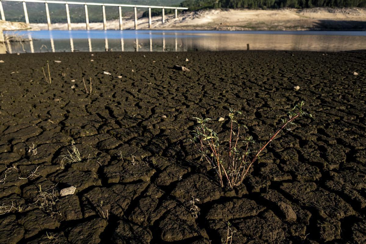 Efectos de la extrema sequía en la localidad gallega de Lobios