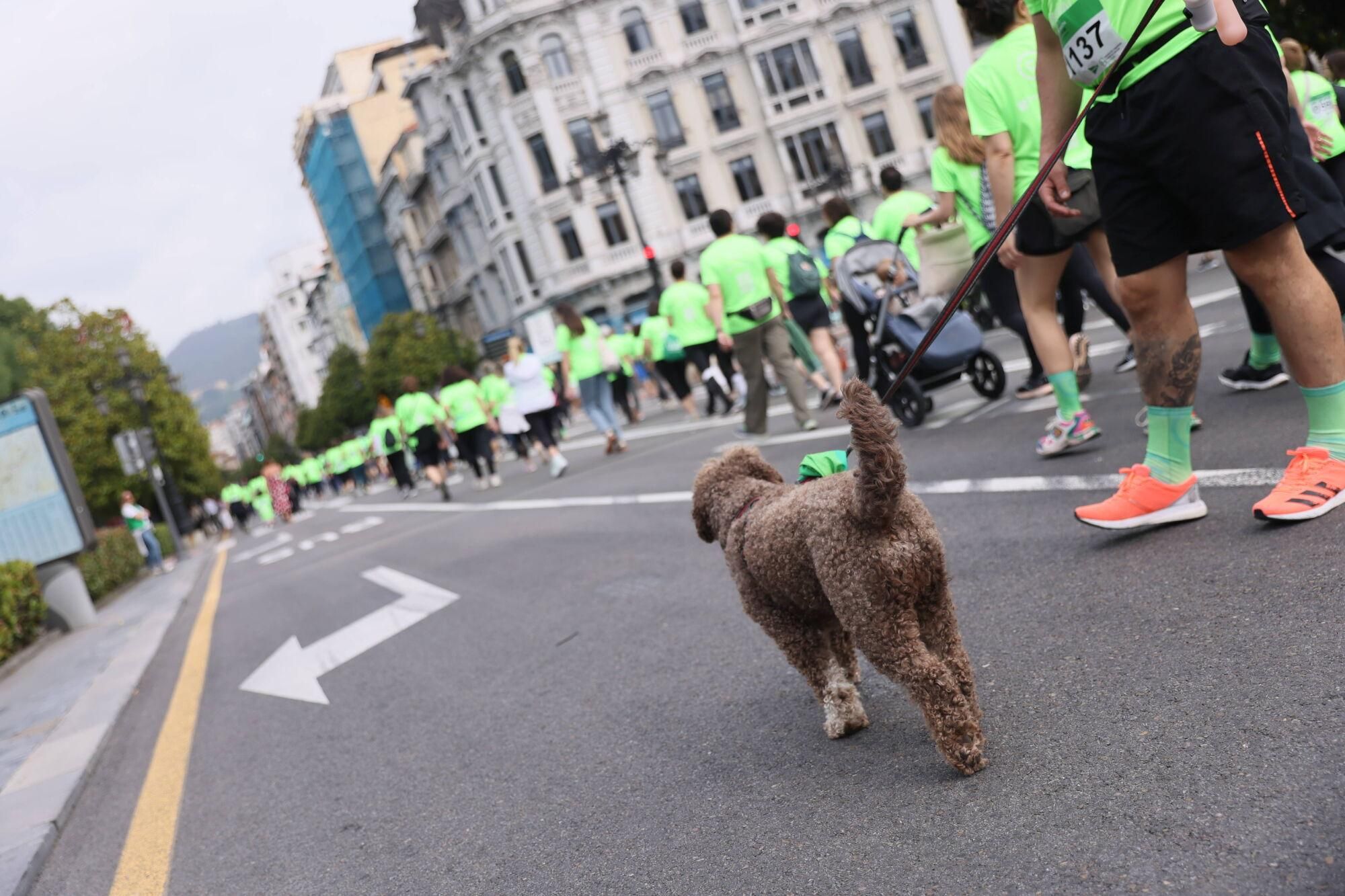 11 horas. Plaza de la Catedral. Carrera contra el cáncer.