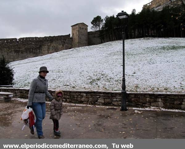 GALERÍA DE FOTOS - Primeras nieves en la provincia