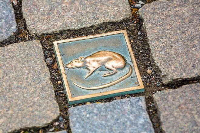 Adoquines con ratas en Hameln, Baja Sajonia, Alemania