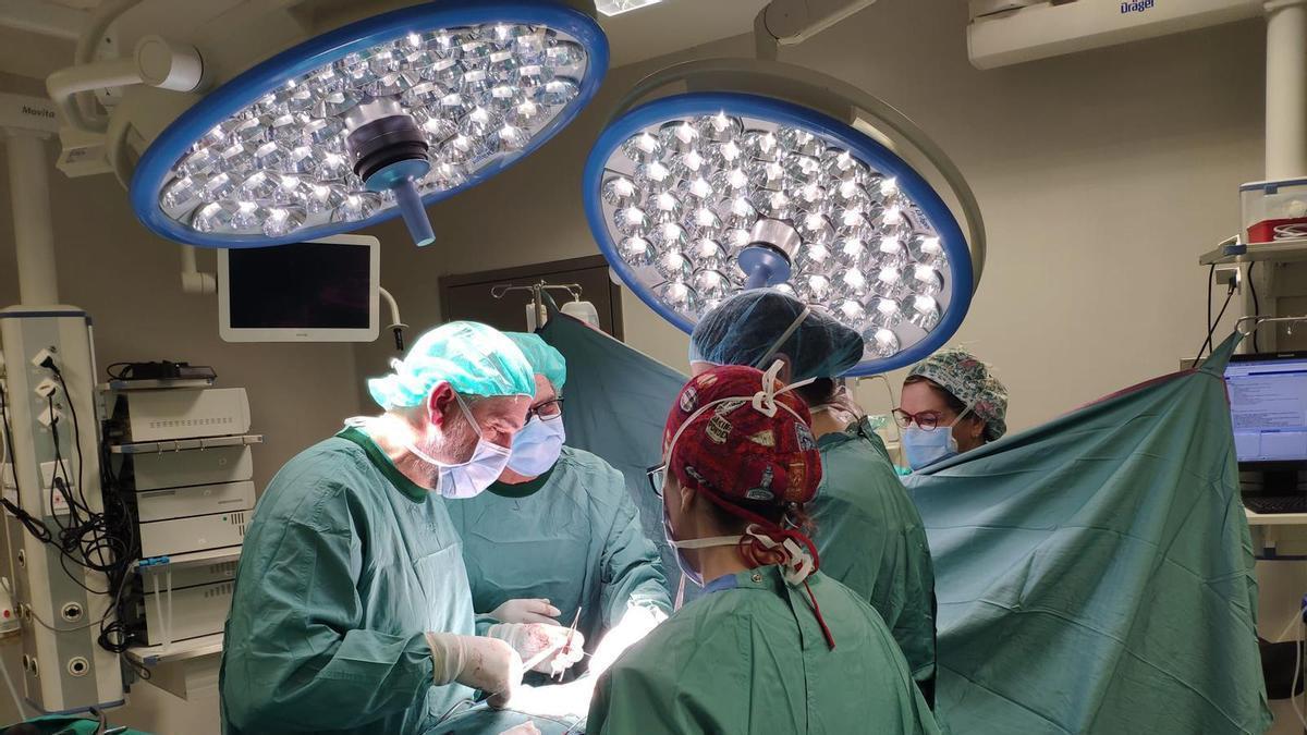 Una intervenció quirúrgica a l'hospital d'Olot en una imatge d'arxiu.