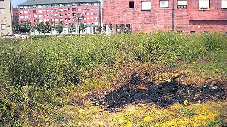 Ciudadanos reclama mejoras en el parque de   la Media Legua,   en La Corredoria