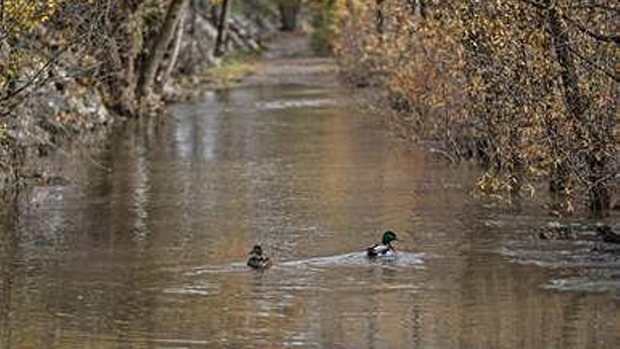 Un paseo ribereño, incorporado al cauce del Duero por la subida del nivel del río.