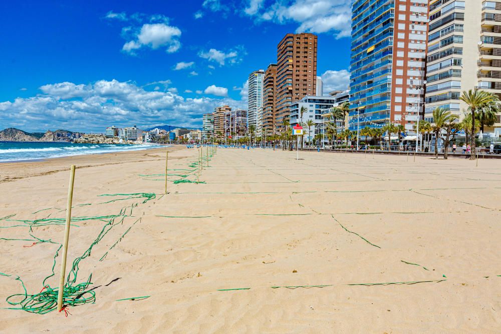 Benidorm prepara la apertura de sus playas con la parcelación