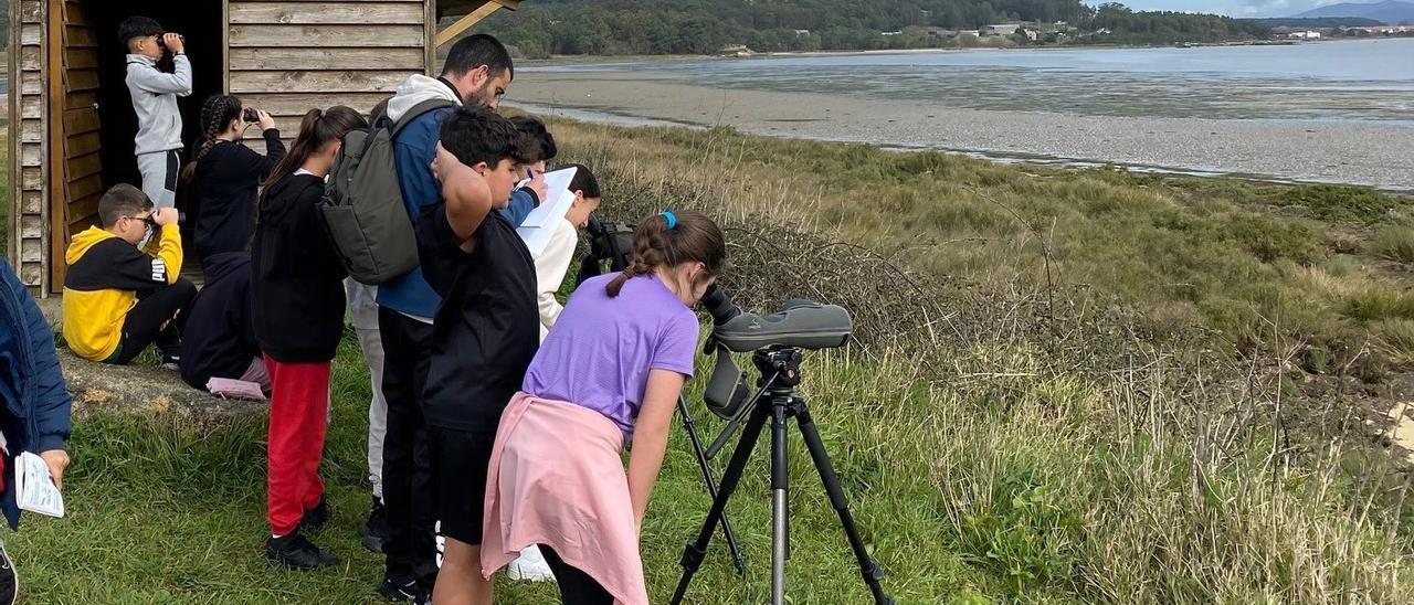 Alumnos observando aves en la Reserva Ornitológica O Grove, de la mano de PIO y SEO.