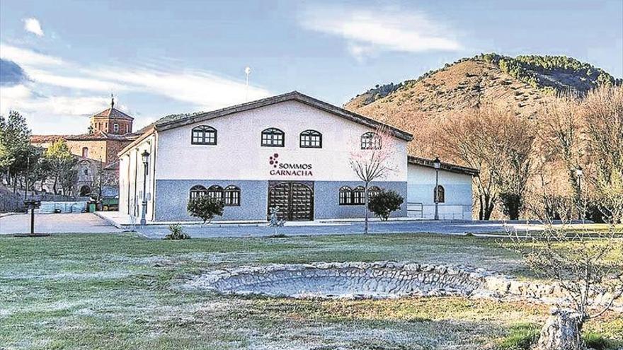 DO Calatayud ampliará su dominio e integrará a la bodega de Murero