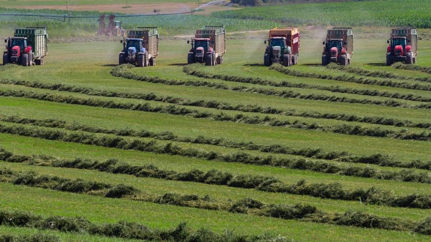 La agricultura en Aragón se enfrenta a una revolución gracias a un servicio personalizado para el cultivo de alfalfa y otros forrajes