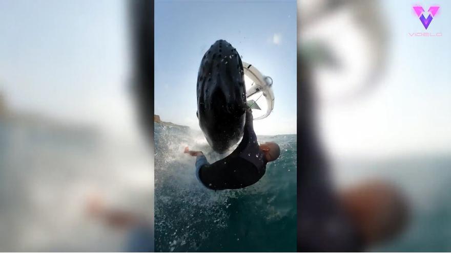 Un surfista sobreviu a l’atac d’una balena després de ser colpejat i submergit per ella