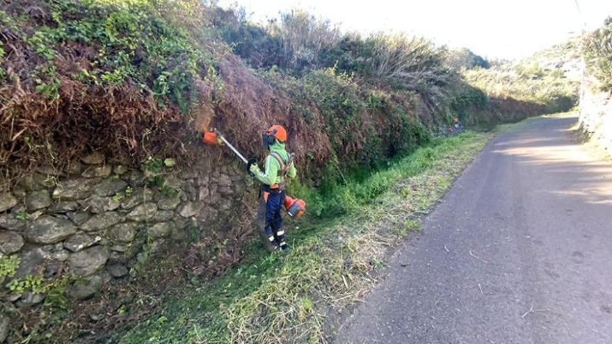 El Ayuntamiento limpia los márgenes de las carreteras