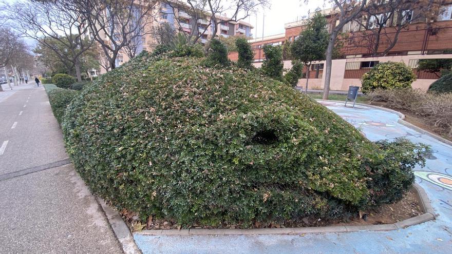 Palma recupera y saca del abandono el Jardín de los Dragones del barrio de Nou Llevant