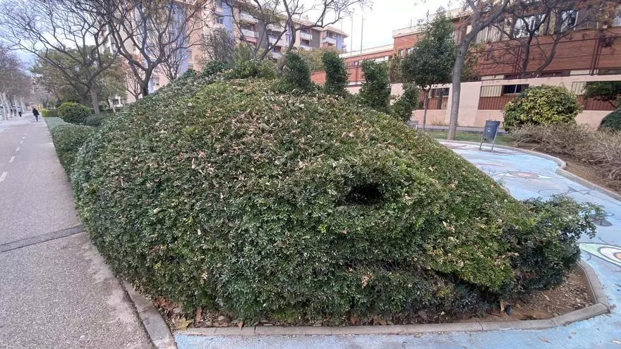 Palma recupera y saca del abandono el Jardín de los Dragones del barrio de Nou Llevant