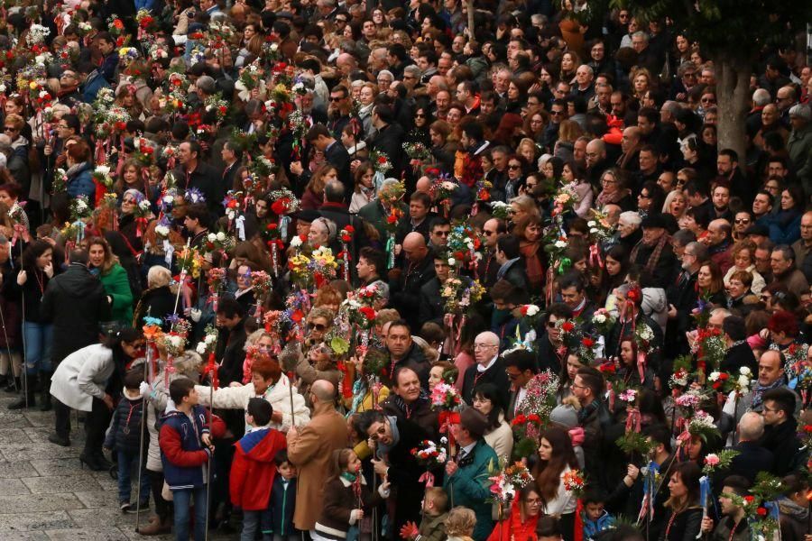 Semana Santa Zamora | La Resurrección