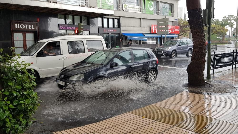 Lluvia en el parque San Telmo.