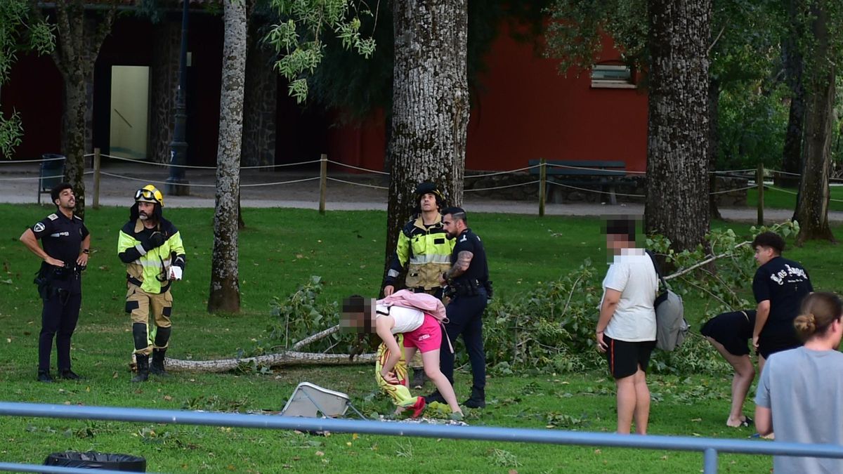 Susto en La Isla de Plasencia al caer ramas en una zona con usuarios.