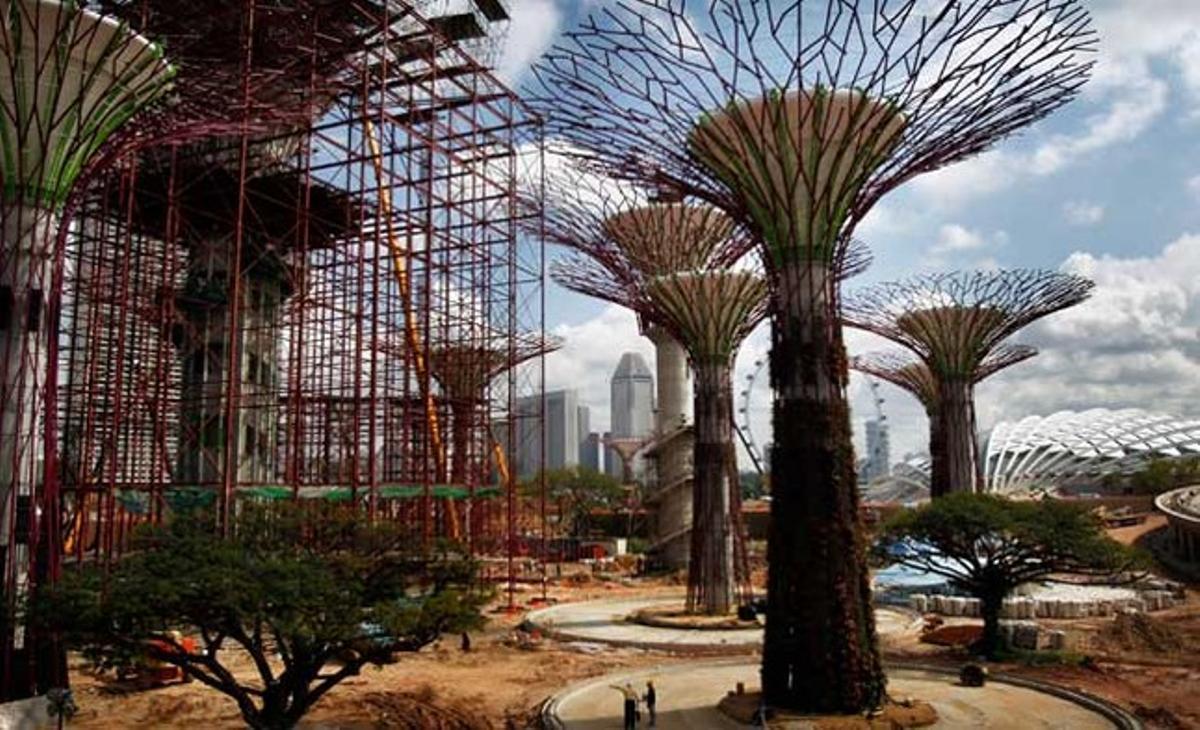 Un conjunt desuperarbres, a l’horitzó financer de Singapur. Aquestes estructures són jardins verticals de 25 a 50 metres d’altura que integren funcions mediambientals i sostenibles.