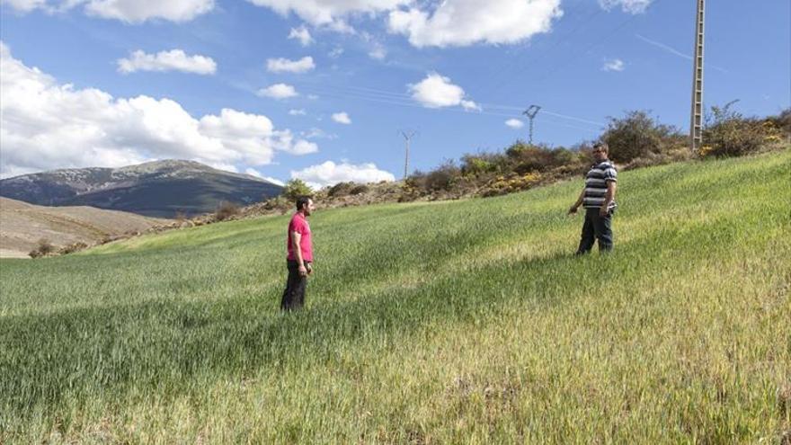 Los agricultores denuncian el uso de avionetas para dispersar nubes