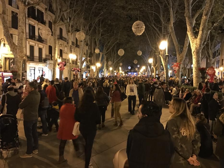 Am Samstagabend (3.12.) versammelten sich Residenten und Mallorca-Urlauber in Palmas Innenstadt, um dabei zu sein, wie die Weihnachtsbeleuchtung eingeschaltet wird.