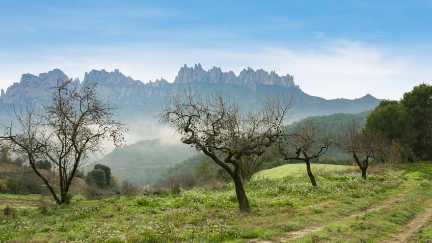 La muntanya de Montserrat des de Marganell