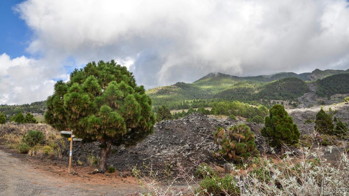 Comienza una erupción volcánica en la Cumbre Vieja de La Palma