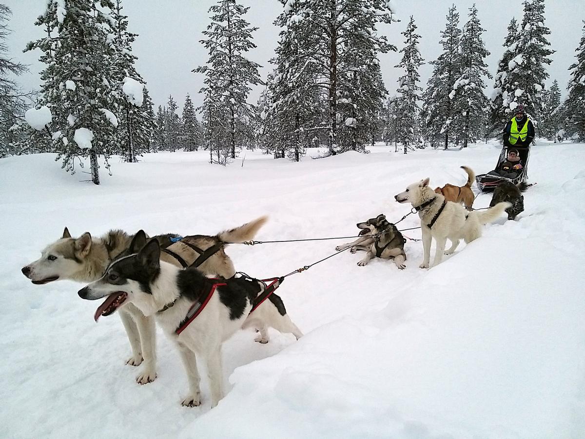 Saariselkä, Laponia Finlandesa