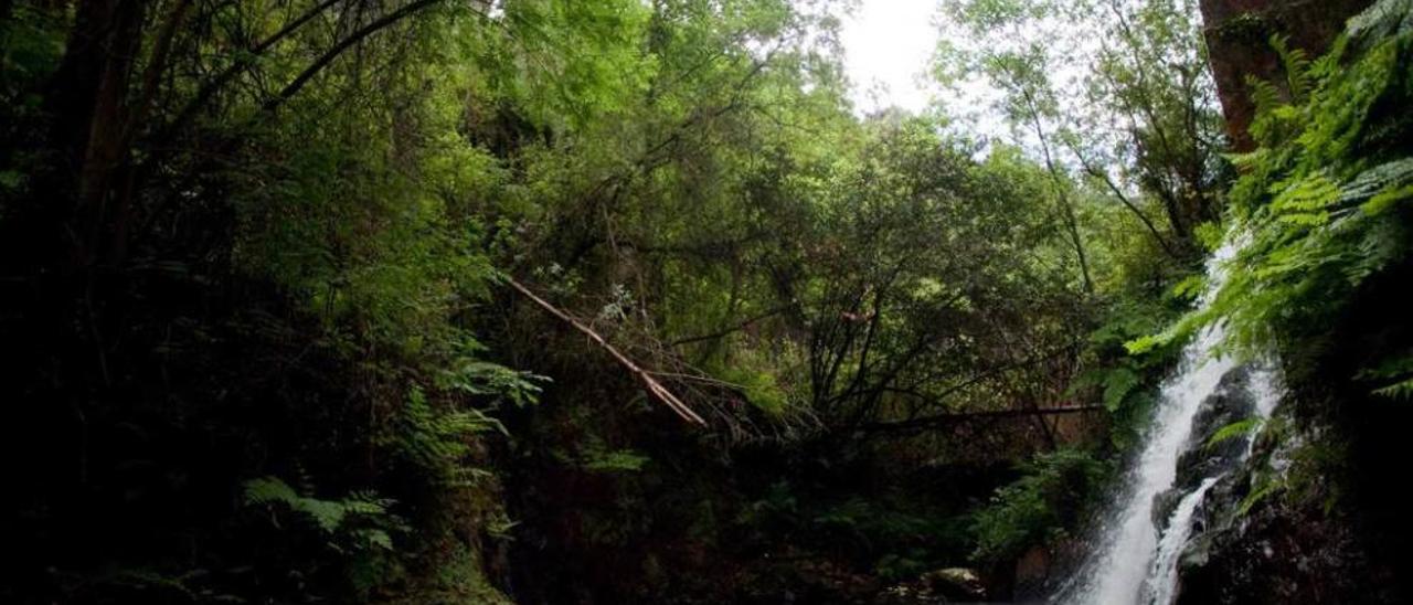 Una cascada formada por el río Molleda en la reserva de El Escañorio.