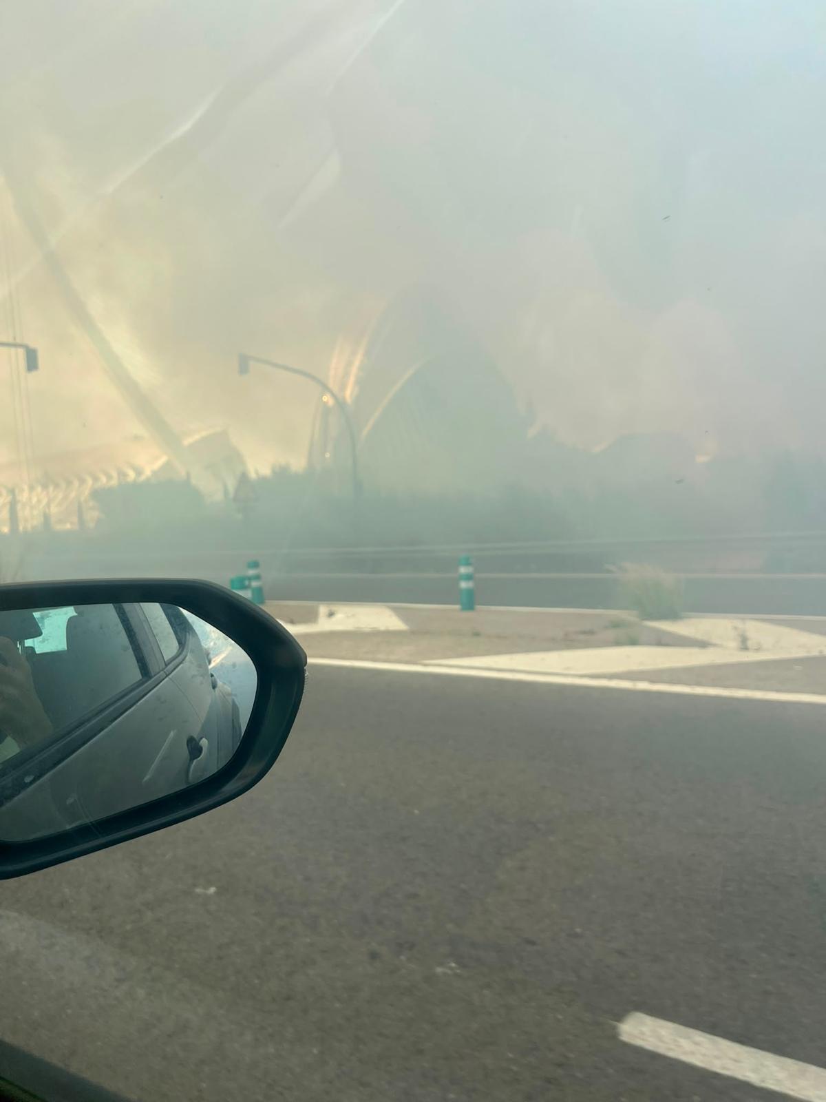 Un aparatoso incendio junto al Oceanogràfic y la autovía del Saler obliga a cortar el tráfico de entrada y salida a la ciudad