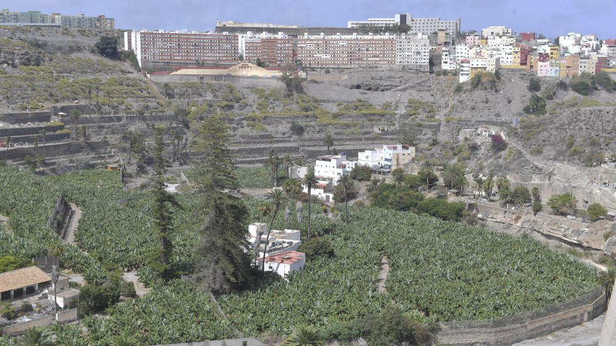 El Guiniguada, en Las Palmas de Gran Canaria