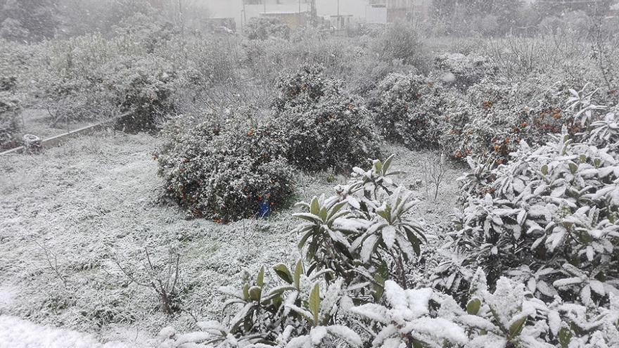 La nieve en la Región de Murcia, vista por nuestros lectores