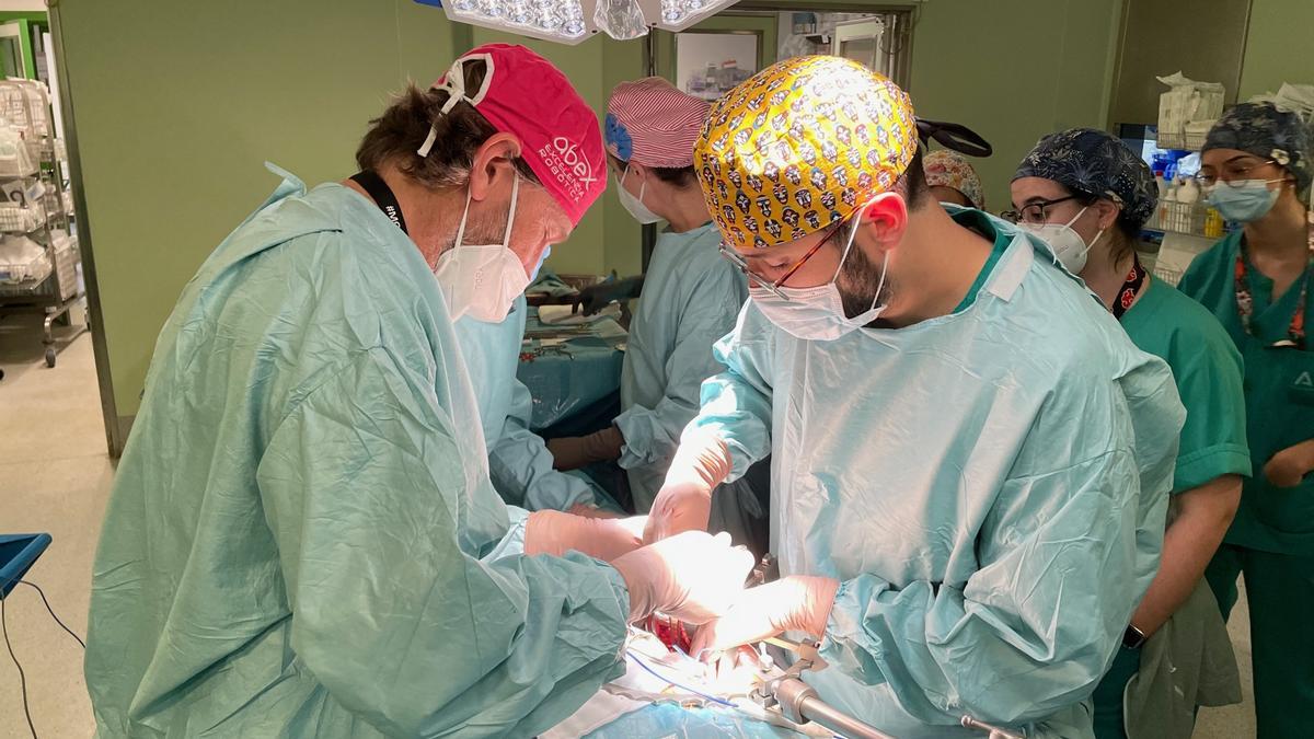Intervencion trasplante de riñón en el Hospital Regional de Málaga