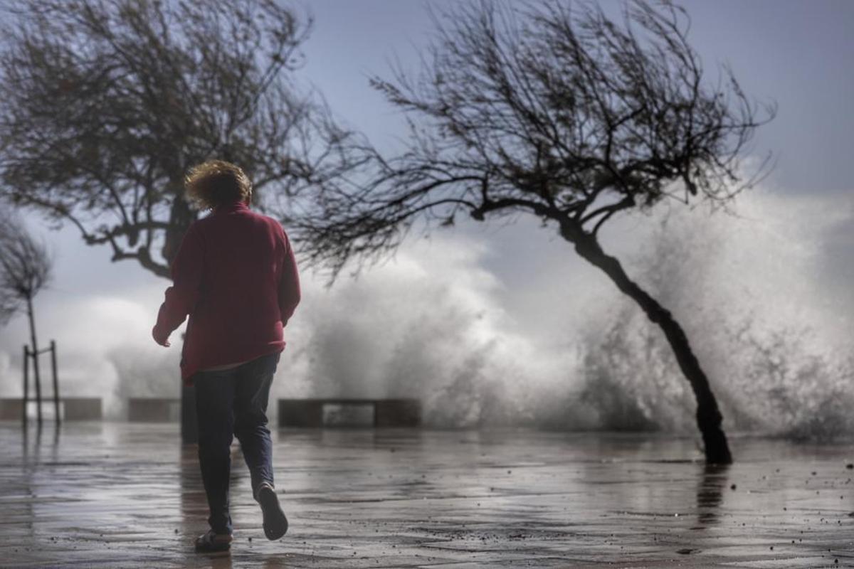El temporal de viento deja decenas de incidentes en Mallorca