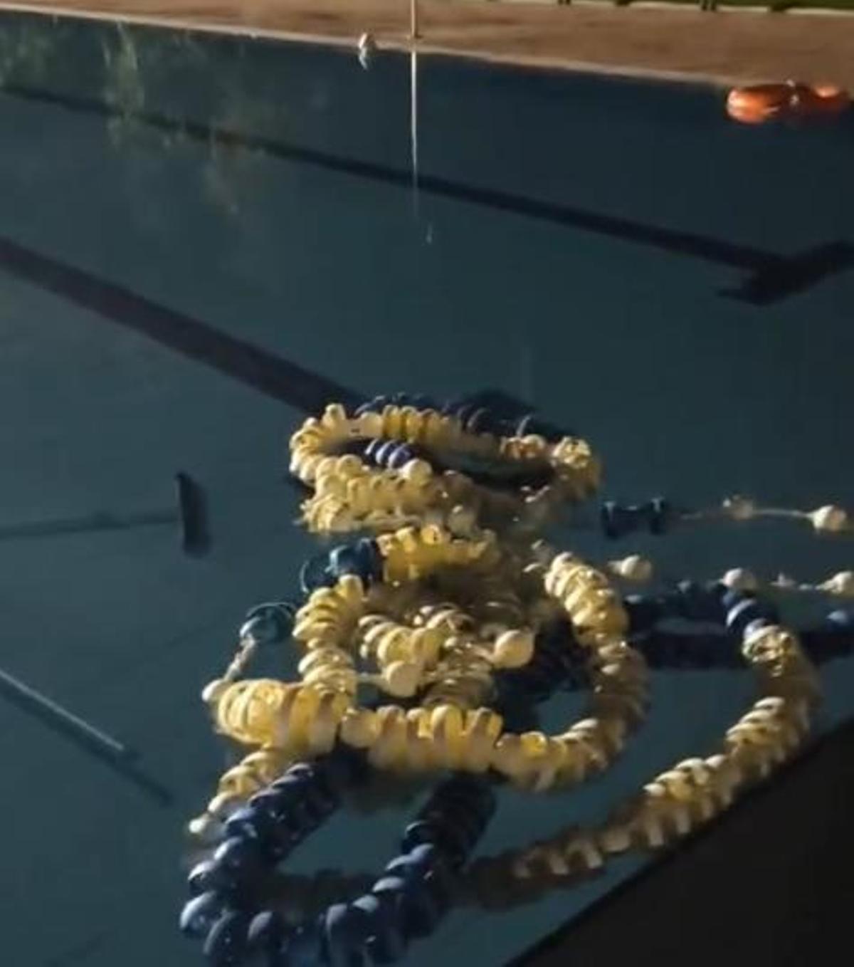 Imagen de objetos en el interior de la piscina municipal de Olivenza.